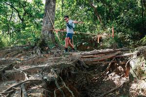 BIB: 
                            <button type="button" onclick="openModal(27800010)" class="btn btn-primary btn-sm float-right btn-popup" data-toggle="modal" data-target=".modal-high-quality">
                        <i class="fas fa-shopping-cart"></i> Add to Cart
                    </button>
                                            <button type="button" onclick="isThisMe(27800010, true)" class="btn btn-success btn-sm float-right btn-popup btn-isme hidden" data-toggle="tooltip" data-placement="bottom" title="นี่คือรูปของคุณใช่ไหม คลิกที่นี่เพื่อเอาเข้าอัลบั้ม">
                        <i class="fas fa-plus"></i> Add to album
                    </button>
                    <button type="button" onclick="isThisMe(27800010, false)" class="btn btn-warning btn-sm float-right btn-popup btn-isnotme hidden">
                        <i class="fas fa-ban"></i> Remove from album
                    </button>